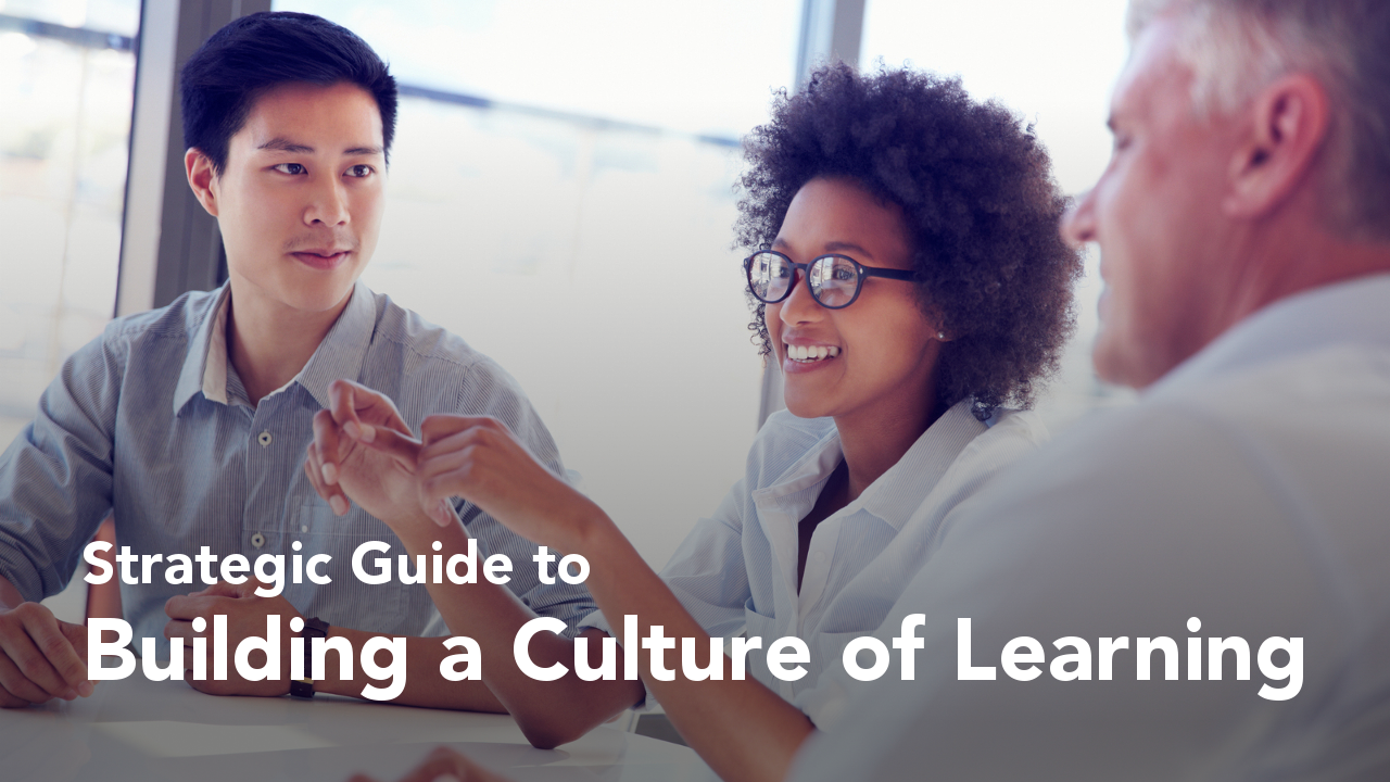 Strategic Guide to Building a Culture of Learning - UpSkill America ...