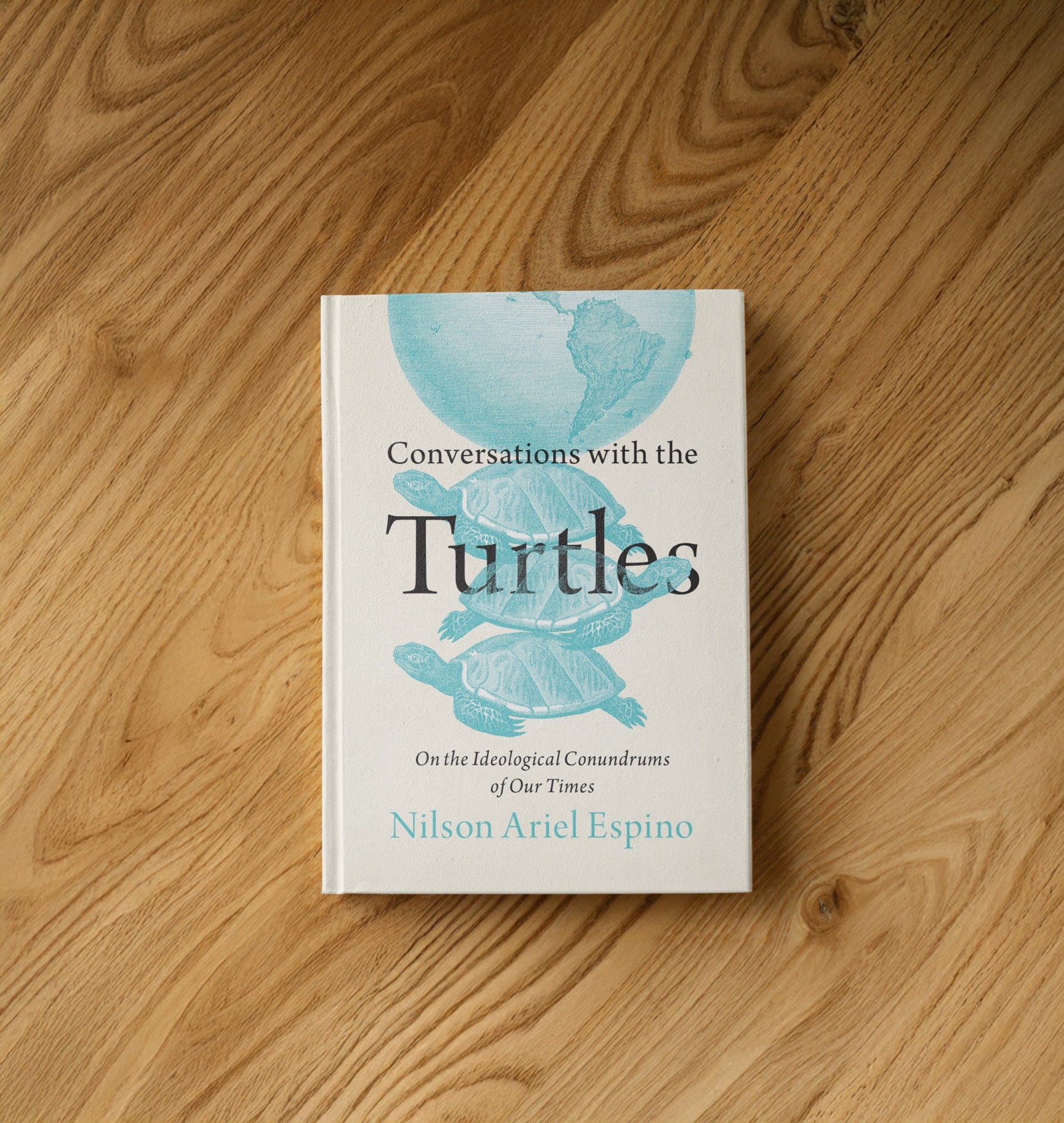 Conflict in Common: A Q&A with Ariel Espino on Conversations with the Turtles